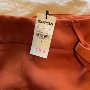 Express brand new skirt with tags